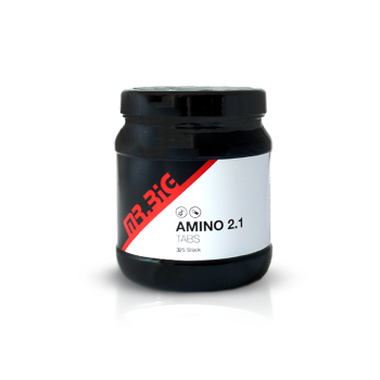 Mr.Big Amino fuel 2.1 (50.000)  | 325 tab.