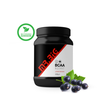 Mr.Big BCAA Instant Porzeczka | 500g