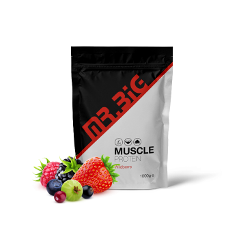 Mr.Big Muscle protein | 500g Owoce leśne